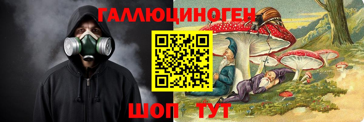 Псилоцибиновые грибы GOLDEN TEACHER Кириши