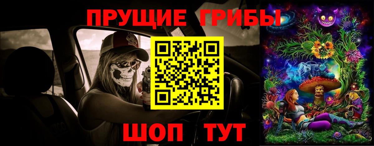Кириши  Псилоцибиновые грибы мицелий  Вход с VPN 