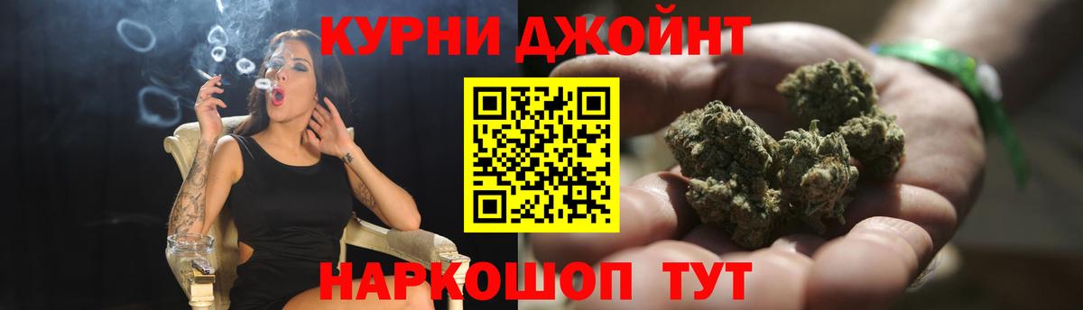 Конопля гибрид Кириши